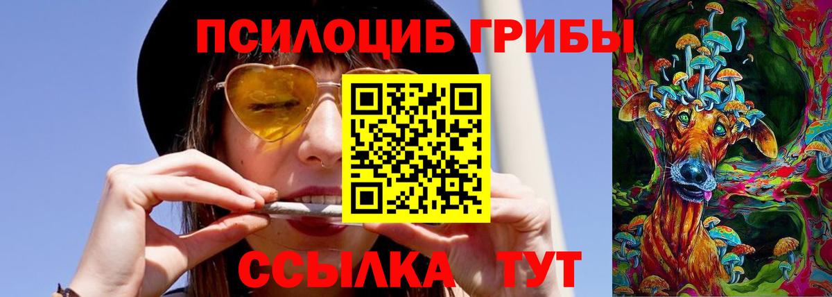 Псилоцибиновые грибы Psilocybine cubensis  Вход с VPN  Россия  Галлюциногенные грибы Psilocybe 